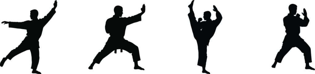 Martial arts silhouettes demonstrating dynamic kicks and poses action fitness training and combat sport concept vector