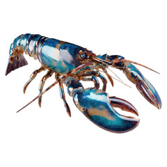 Realistic Lobster with Striking Blue and Green Colors on a Solid Background