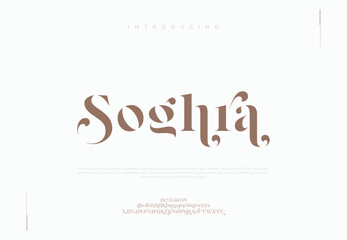 Premium luxury elegant alphabet letters and numbers. Elegant wedding typography classic serif font decorative vintage retro. Creative vector illustration