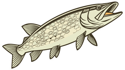 Naklejka premium Vintage Illustration of a Fish Aquatic Animal Design Seafood Graphic Retro Style Fishing Image.