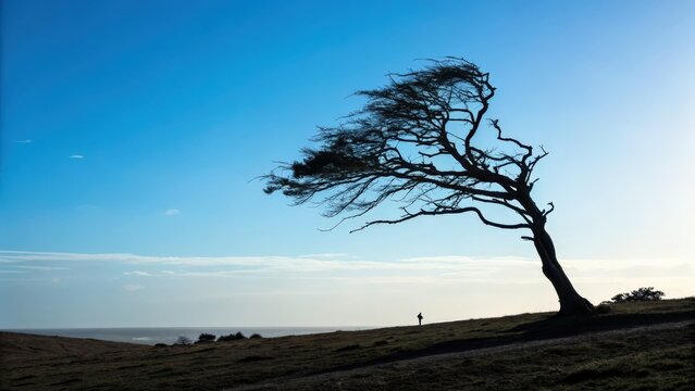 Lonely tree on windy hill against a clear blue sky