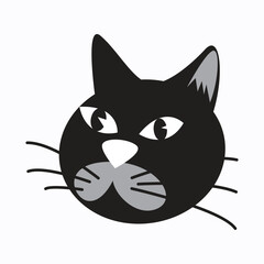 Adobe Stock Tempalte