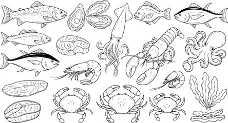 Obraz premium Seafood vector illustrations. Hand drawn line sea fishes, oysters, lobster, squid, octopus, crabs, prawns, fish fillet. Laminaria and wakame seaweeds. Healthy food natural set
