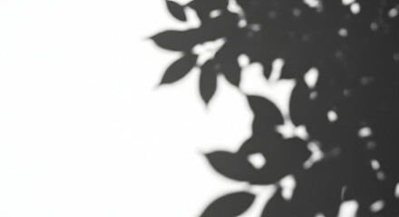 Shadow of leaves isolated on white background, creating a minimalist and natural pattern with a soft, blurred effect for a serene backdrop