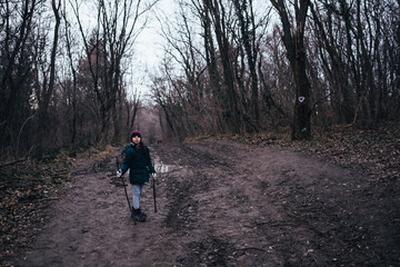 Obraz premium Young girl hiking winter forest path using walking sticks