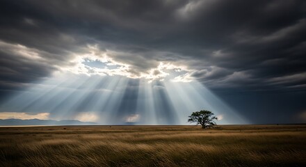 Dramatic Rays of Sunlight Shining Over a Lone Tree in the Field