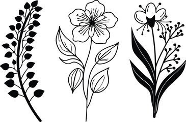 Elegant Botanical Line Art