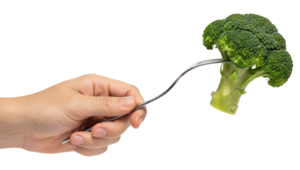 human hand holds a fork with a fresh green broccoli head