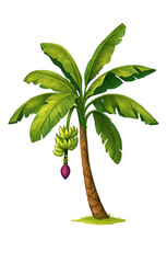 Tropical Banana Tree with Ripe Bananas and Purple Blossom
