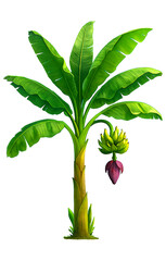 Banana Plant with Green Leaves and Fruit Cluster &ndash; High Detail
