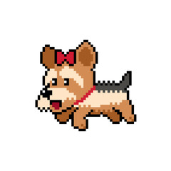 Pixel art cute yorkshire terrier dog vector in retro style