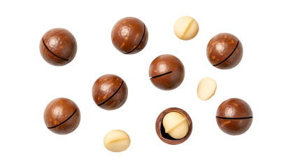 Macadamia Nuts on Transparent Background Brown Shelled Delicious