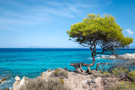 Turquoise beach with rocks . Portokali beach, Sithonia,  Halkidiki, Greece . Sea background 
