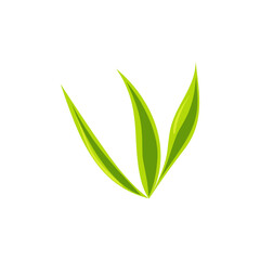 Green Leaves Icon Vector Illustration - Simple Nature Symbol for Organic & Freshness