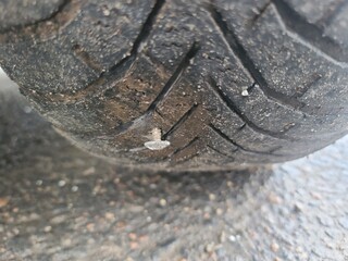 Car tire nails in the tire grooves are the cause of tire punctures