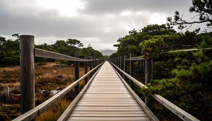 Fototapeta premium Wooden walkway through a forest