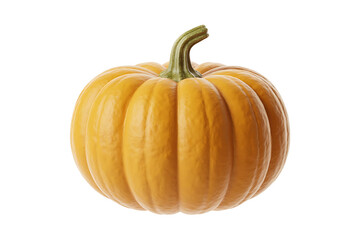 Obraz premium A bright orange, ribbed pumpkin with a green stem sits isolated on white.