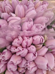 Lot of multicolored tulips bouquets. Flower market or store