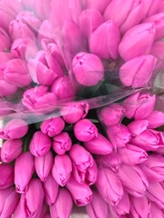 Lot of multicolored tulips bouquets. Flower market or store
