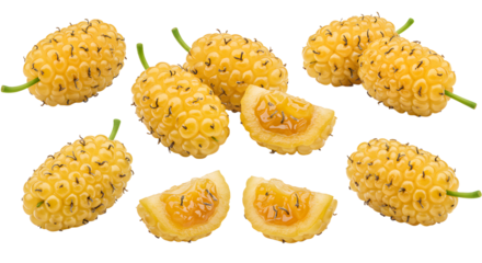 Yellow spiral corn cobs and slices isolated on white background, unique multigrain food close-up, perfect for culinary and agricultural uses