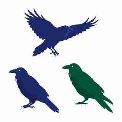 Fototapeta premium Stylized Trio of Crows in Flight and Perched, Vector Illustration