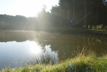 Golden sunbeams on foggy lake reflecting forest
