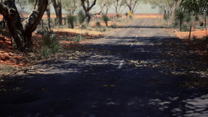 A tranquil dirt road weaves through an arid landscape, surrounded by scattered trees, dust, and fallen leaves, capturing the essence of solitude and natural beauty.