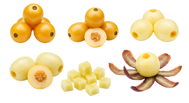 Fresh whole and sliced yellow melons with peeled segments and diced pieces isolated on white background, perfect for healthy recipes