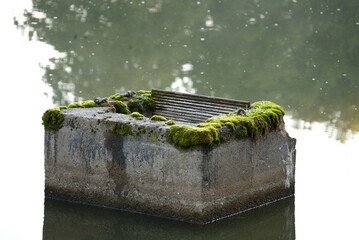 Concrete structure in water with moss growing on top