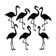 Tropical Flamingo Silhouettes in Various Poses