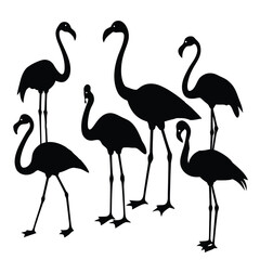 Elegant Bird Silhouette Illustrations of Flamingos