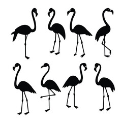 Flamingo Silhouettes for Print and Graphic Use