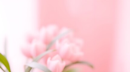 Pink Tulips: Blurry Soft Focus Floral Background for Elegant Home Decor and Interior Design