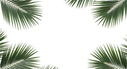 Palm Fronds Border Design on White Background for Decorative Use