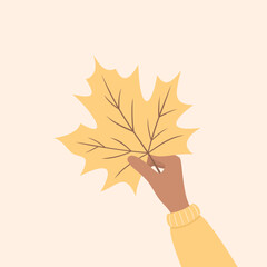 Hand in yellow sleeve holding yellow maple leaf, flat vector illustration