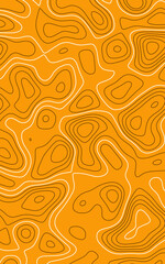 colorful Topographic map patterns, topography line map. Vintage outdoors style.  tradition and celebration concept digitally generated image.
