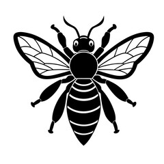 vector illustration of a wasp