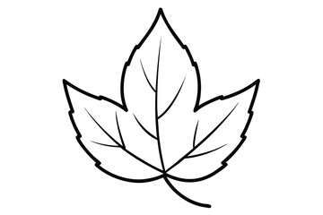 autumn leaf vector line art flower silhouette