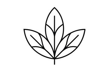 botanical set vector line art flower silhouette