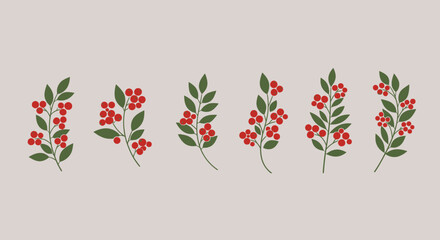 Vector Icons Set of isolated botanical branches with red berries and green leaves. EPS Editable