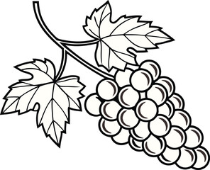 Obraz premium Elegant grape cluster with leaves illustration for winery branding, vineyard promotional material, or organic food packaging designs, originally scalable vector