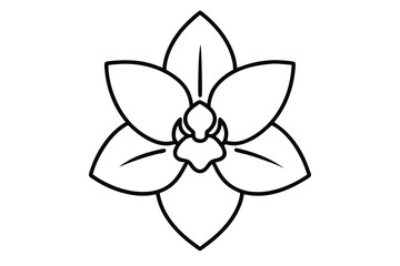 orchid flower vector line art flower silhouette