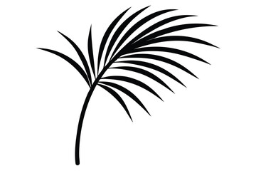 palm leaf vector line art flower silhouette