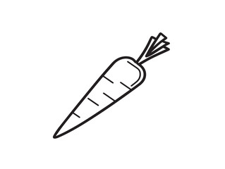 Fresh carrot illustration in elegant simple vector style