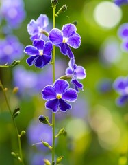 Vibrant purple flowers in a garden setting (1)