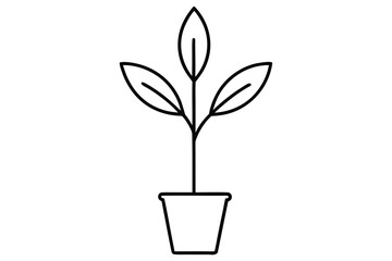 young plant vector line art flower silhouette