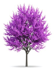Vibrant purple tree against white background