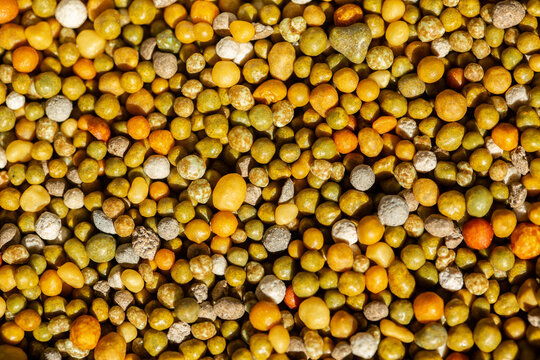 colourful granules of fertiliser together to put in indoor pot plants for nutrients