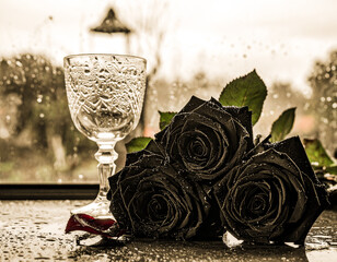 Poem of Black Roses on a Rainy Afternoon