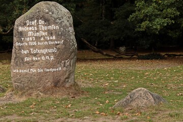 Der Thomsen-Stein im Totengrund in der L&uuml;neburger Heide